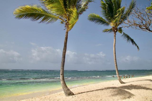 Bouillante en Guadeloupe : plages, plongee et sources chaudes Bouillante en Guadeloupe : plages, plongee et sources chaudes