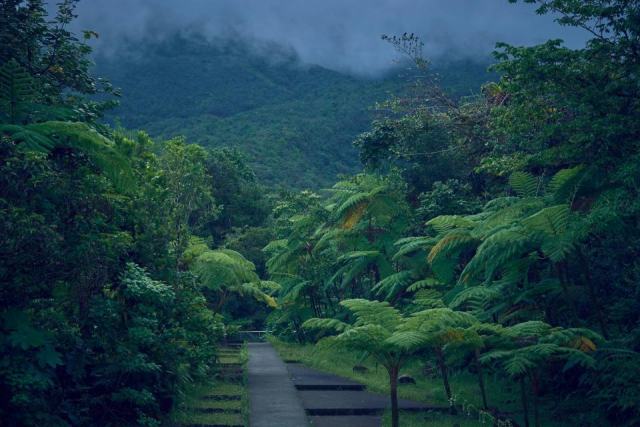 Le Parc national de la Guadeloupe : nature preservee en Basse-Terre