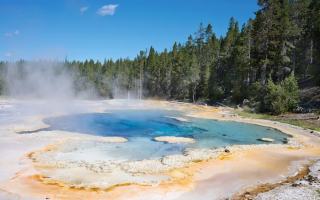 Sources chaudes de Bouillante : bains naturels en bord de mer