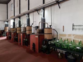 Distilleries de rhum en Basse-Terre : visites depuis Bouillante